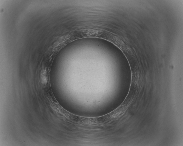 X0000085010962200703051243
