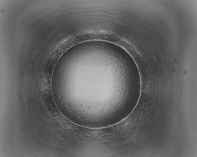 X0000085010966200703051243
