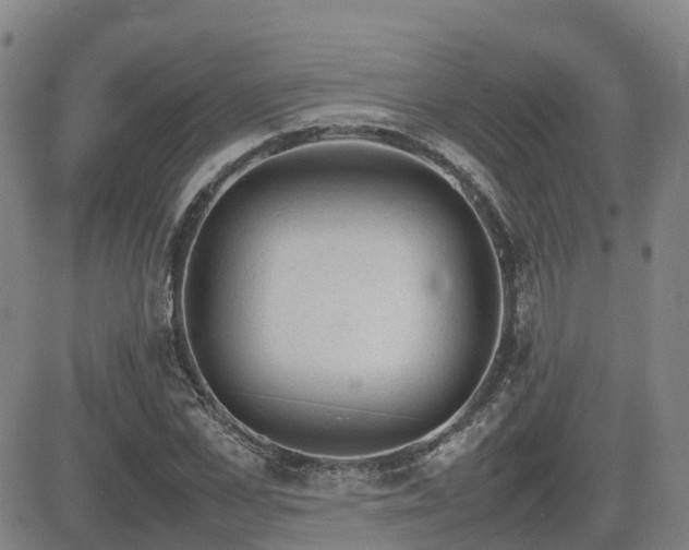 X0000085010973200703051243