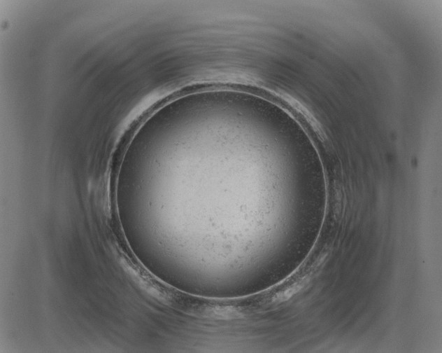 X0000085010982200703051242