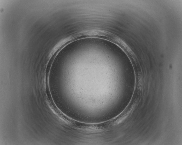 X0000085010986200703051242