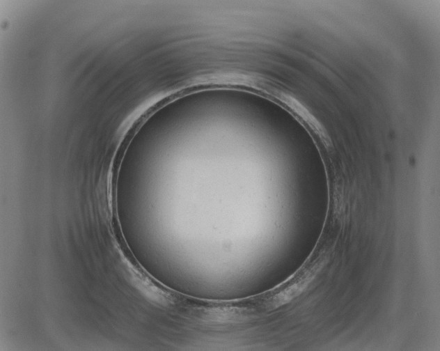 X0000085010988200703051242
