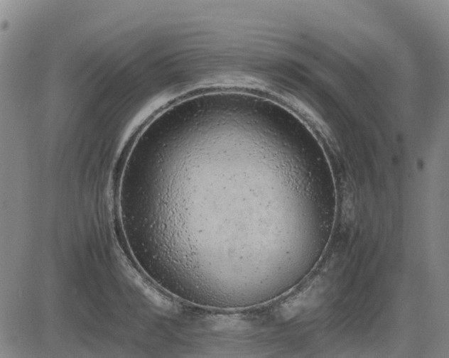 X0000085010990200703051242