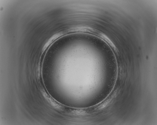X0000085010994200703051242