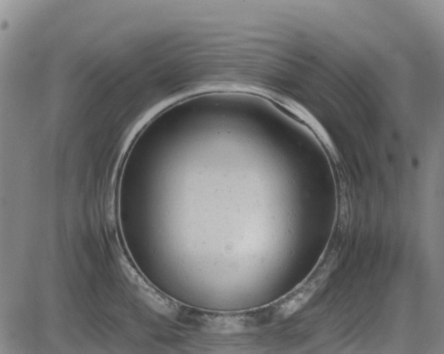 X0000085011004200703051242