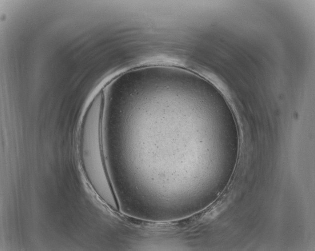 X0000085011008200703051242