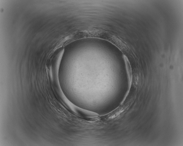 X0000085011010200703051241