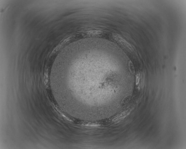X0000085011011200703051241