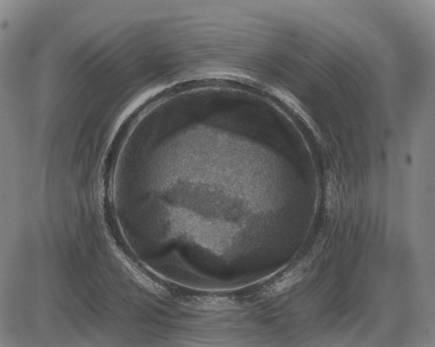 X0000085011024200703051241