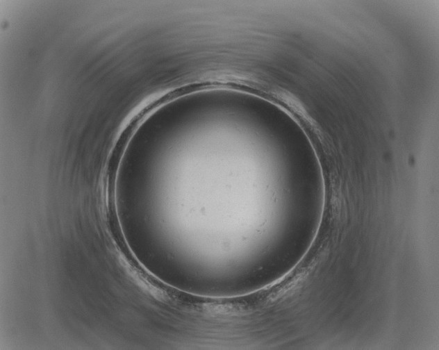 X0000085011032200703051242