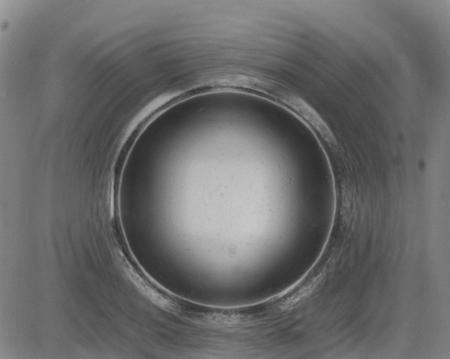 X0000085011036200703051242