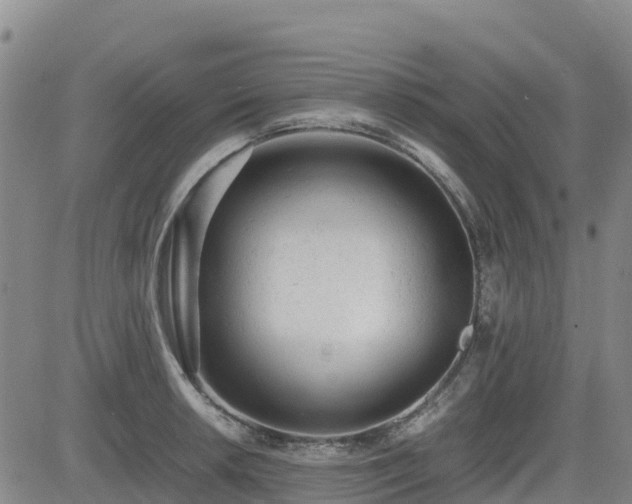 X0000085011042200703051242