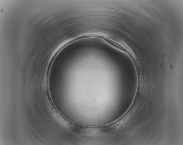 X0000085011044200703051242