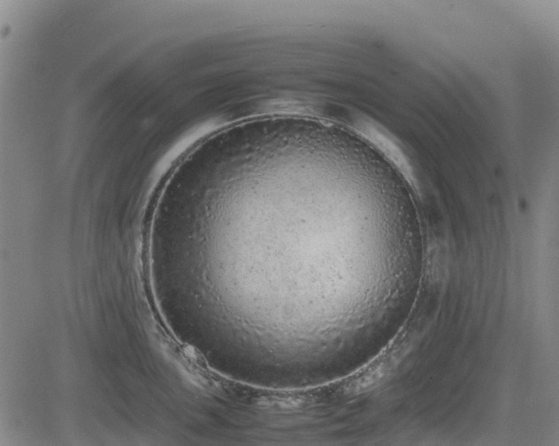 X0000085011051200703051242
