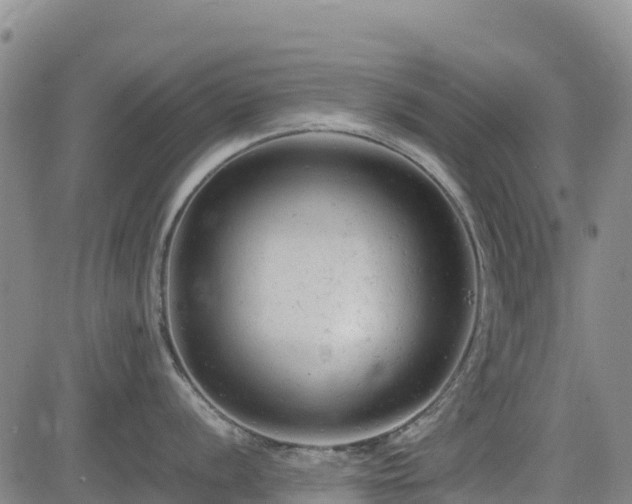 X0000085011056200703051242