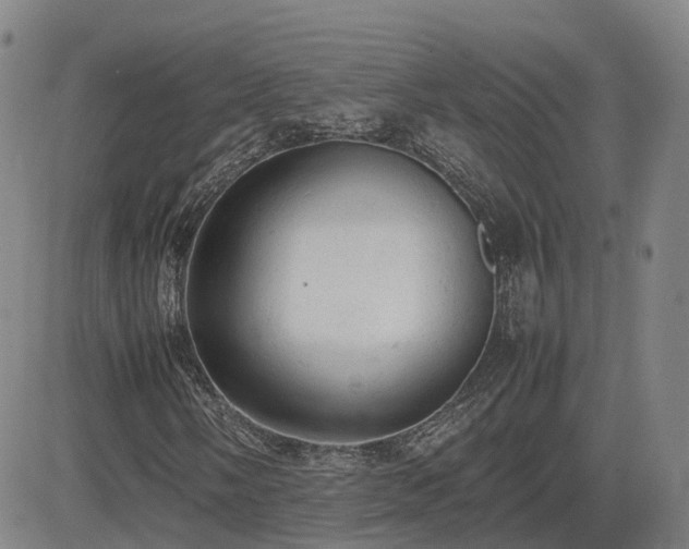 X0000085011058200703051241