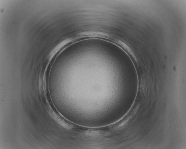 X0000085011082200703051241