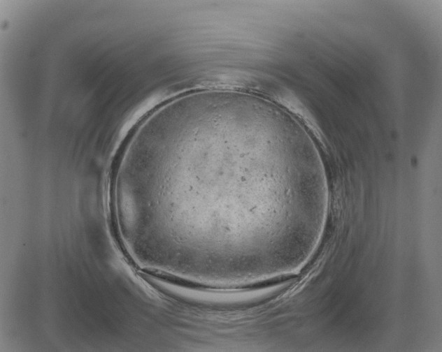 X0000085011083200703051241