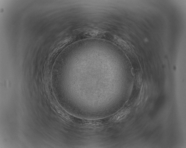 X0000085011105200703051240