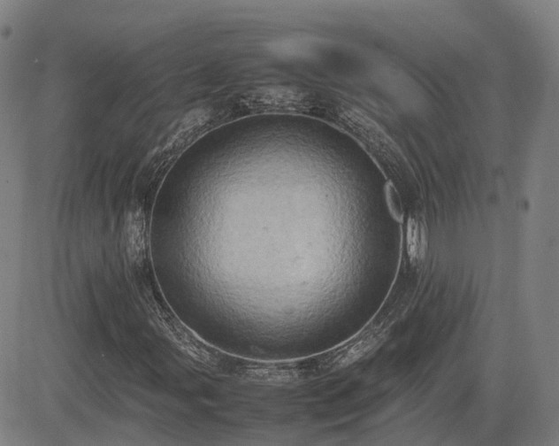 X0000085011107200703051240
