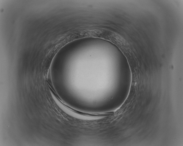 X0000085011109200703051240