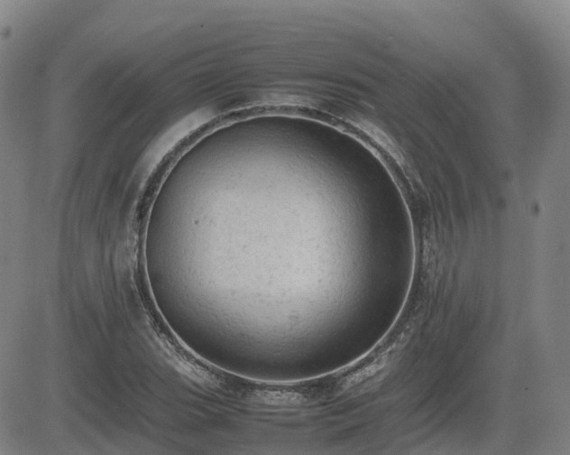 X0000085011119200703051240