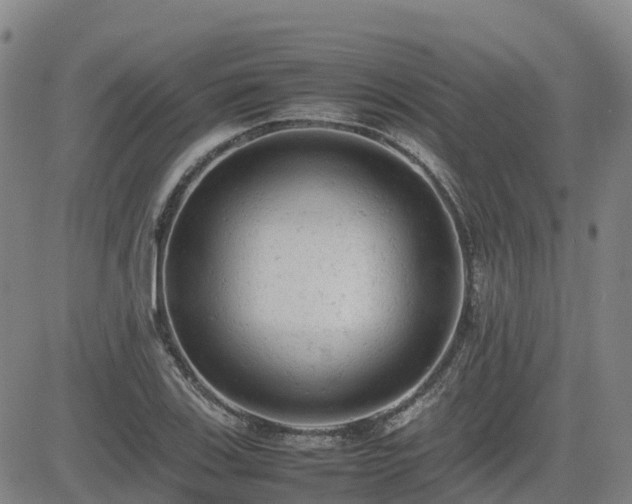 X0000085011123200703051240