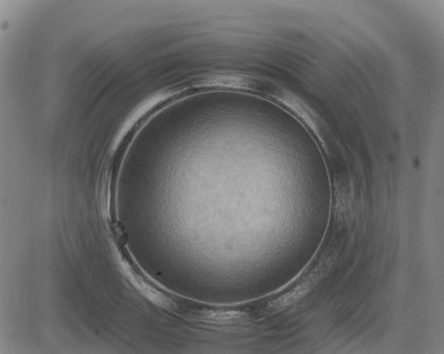 X0000085011131200703051240