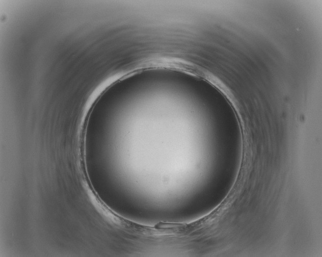 X0000085011152200703051240