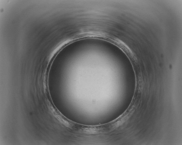 X0000085011182200703051239