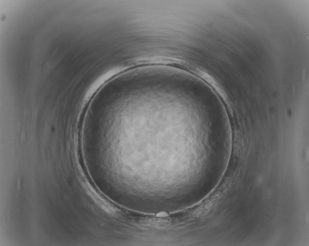 X0000085011187200703051239