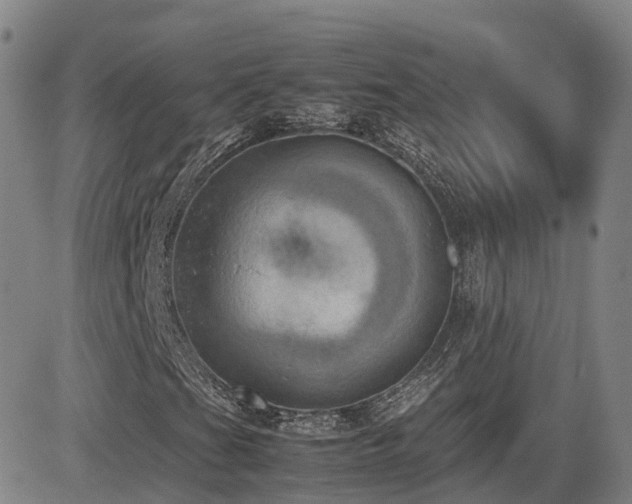X0000085011201200703051238