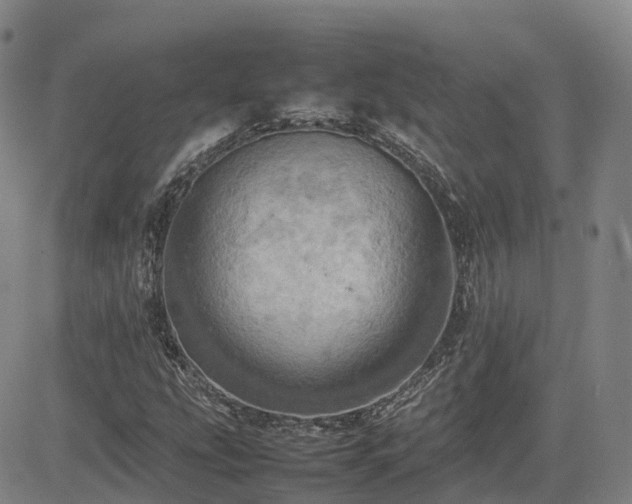 X0000085011207200703051238