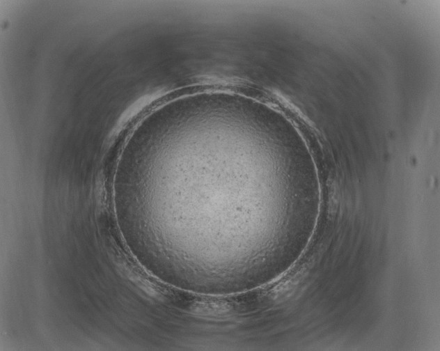 X0000085011215200703051238