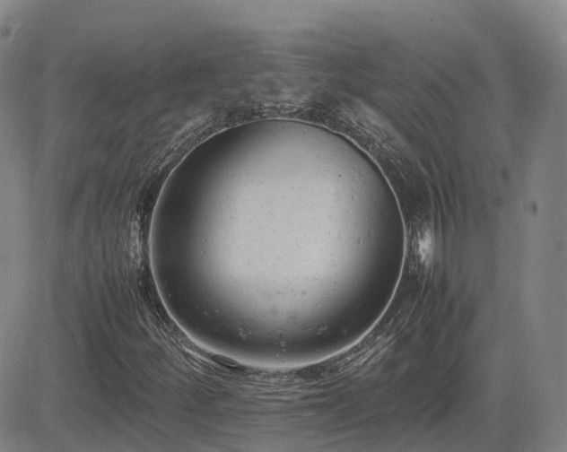 X0000085011252200703051238