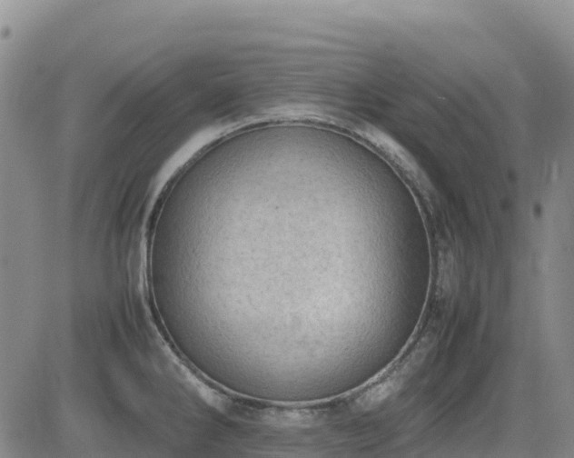 X0000085011286200703051237