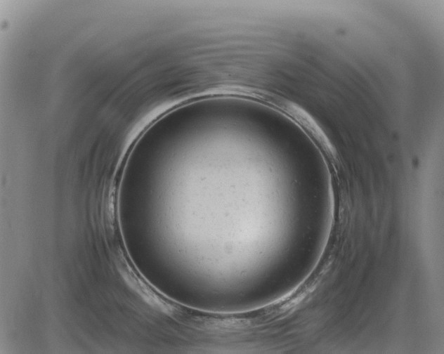 X0000085011292200703051237