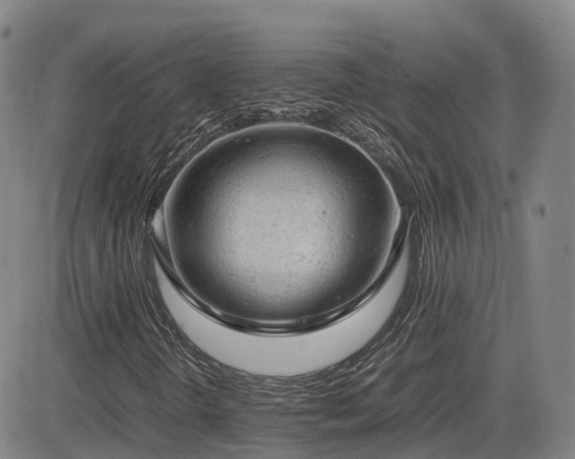 X0000085011298200703051236