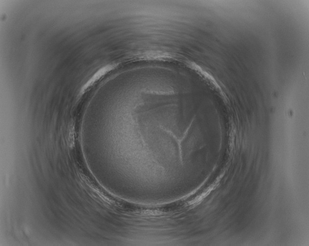 X0000085011306200703051236