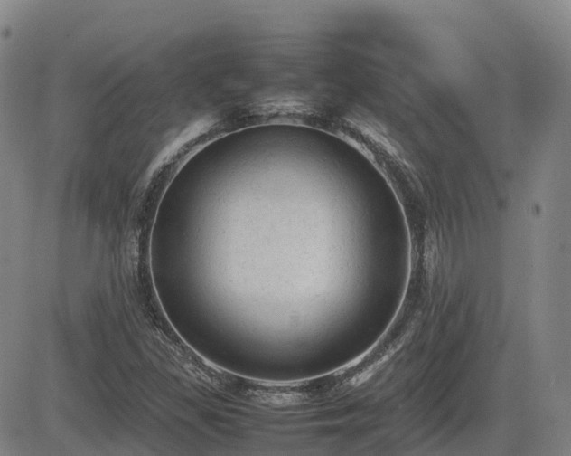 X0000085011309200703051237
