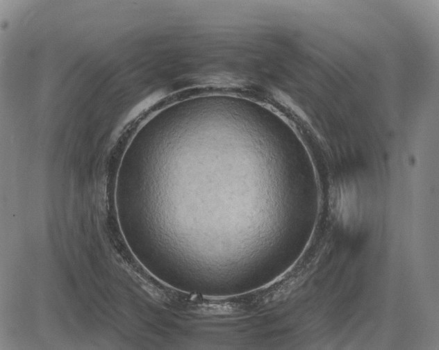 X0000085011315200703051237