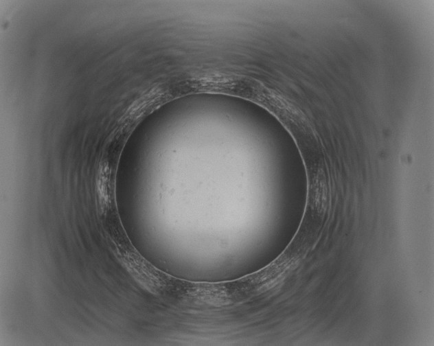 X0000085011346200703051236
