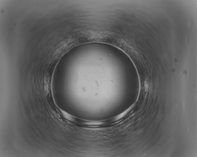 X0000085011348200703051236