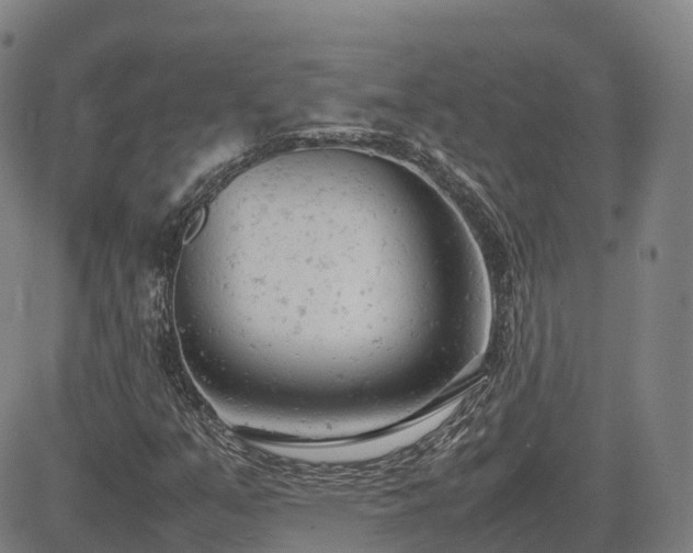 X0000085011351200703051236