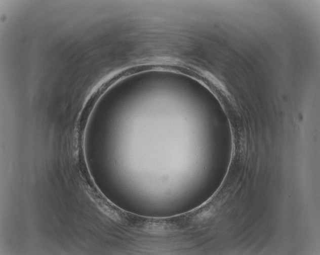 X0000085011364200703051236