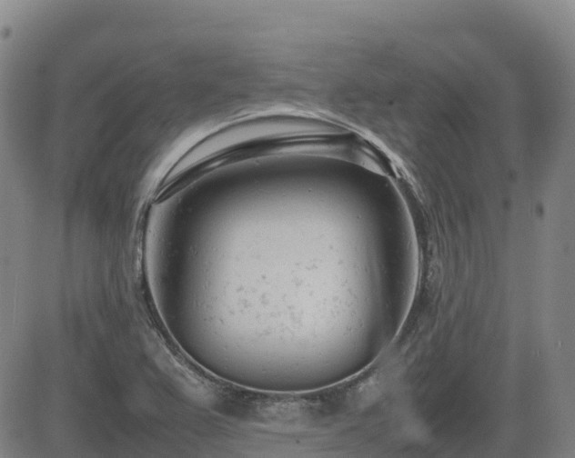 X0000085011367200703051236