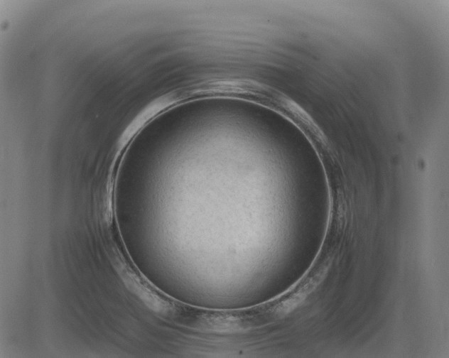 X0000085011370200703051236