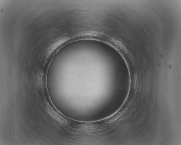 X0000085011404200703051235