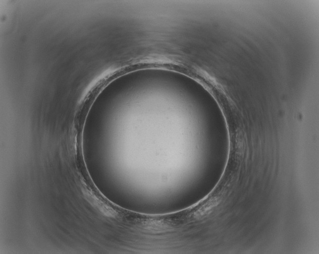 X0000085011408200703051235