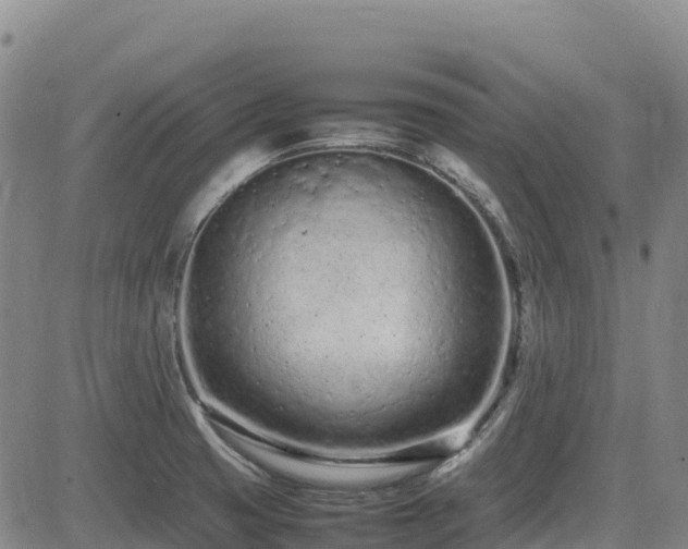 X0000085011425200703051235